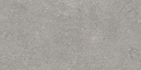 Керамогранит Newcon Серебристо-Серый Матовый R10A 60х120