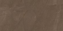 Плитка Pulpis Brown W M 31x61 NR Glossy 1