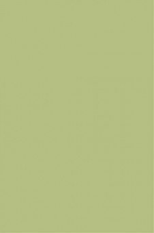 Плитка Palitra светло-зеленый 20х30 