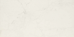 Керамогранит Allmarble Altissimo Lux 60х120