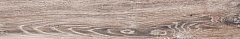 BG03 19,4x120 Непол.Рект.